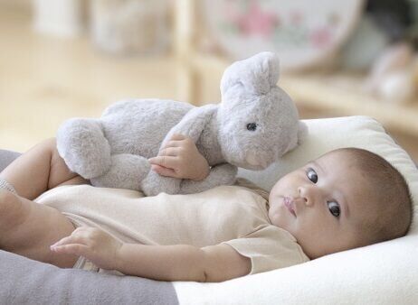 BabyJem Uyku Arkadaşım Oturabilen Tavşan 30 Cm 730 Gri Gri