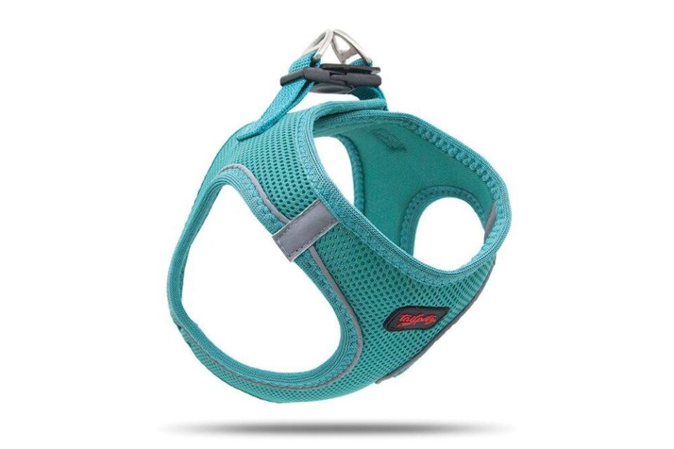 Tailpetz Air Mesh Köpek Göğüs Tasması XSmall 32x36 cm Emerald