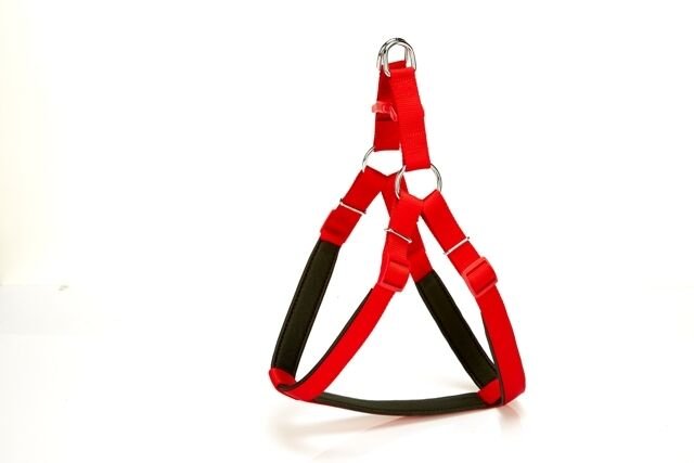 Doggie Comfort Ronin Köpek Bel Tasması 70cm Large Kırmızı