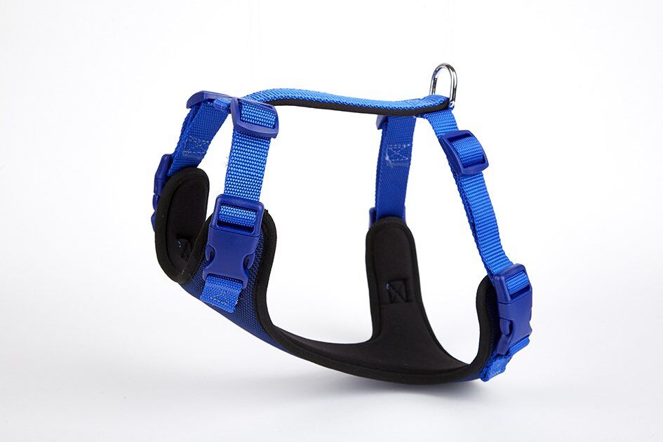 Doggie Yumuşak Softlu Köpek Göğüs Tasması 40/45 cm Mavi