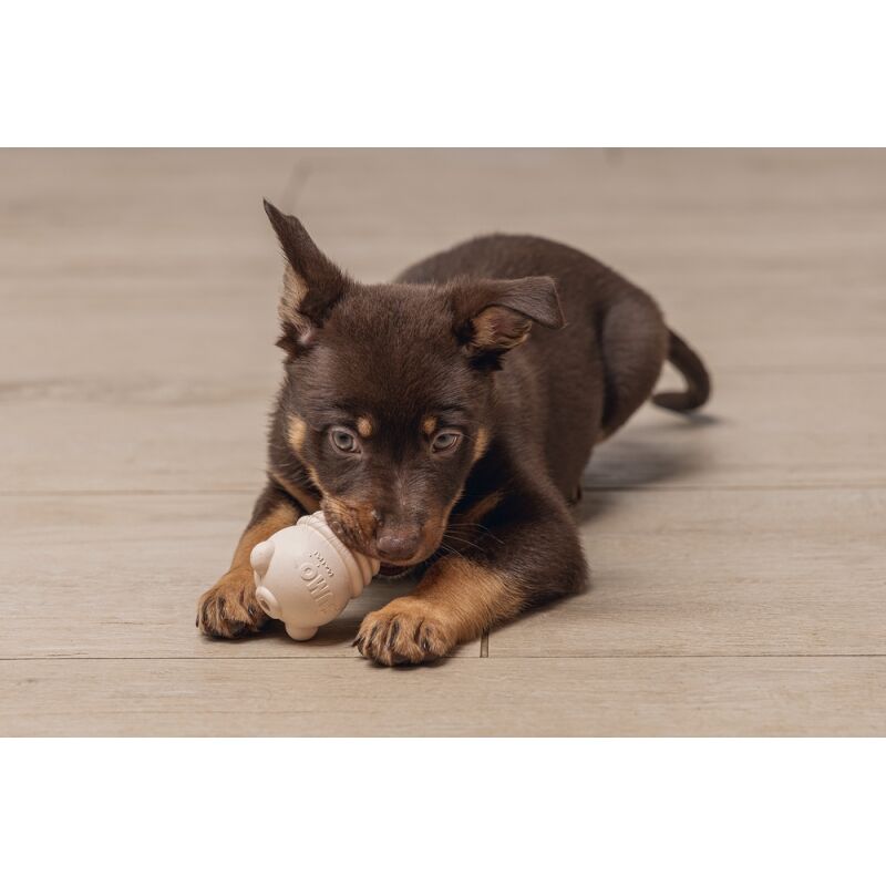 Beeztees Yavru Köpek Sumo Mını Dental Oyuncak Xs 3-6 kg