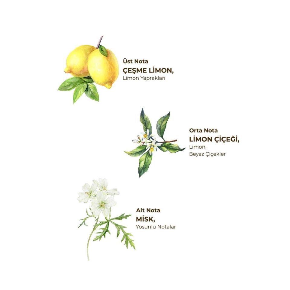 Eyüp Sabri Tuncer Kolonya Pet Şişe Sprey 150 ml Çeşme Limonu Çeşme Limonu