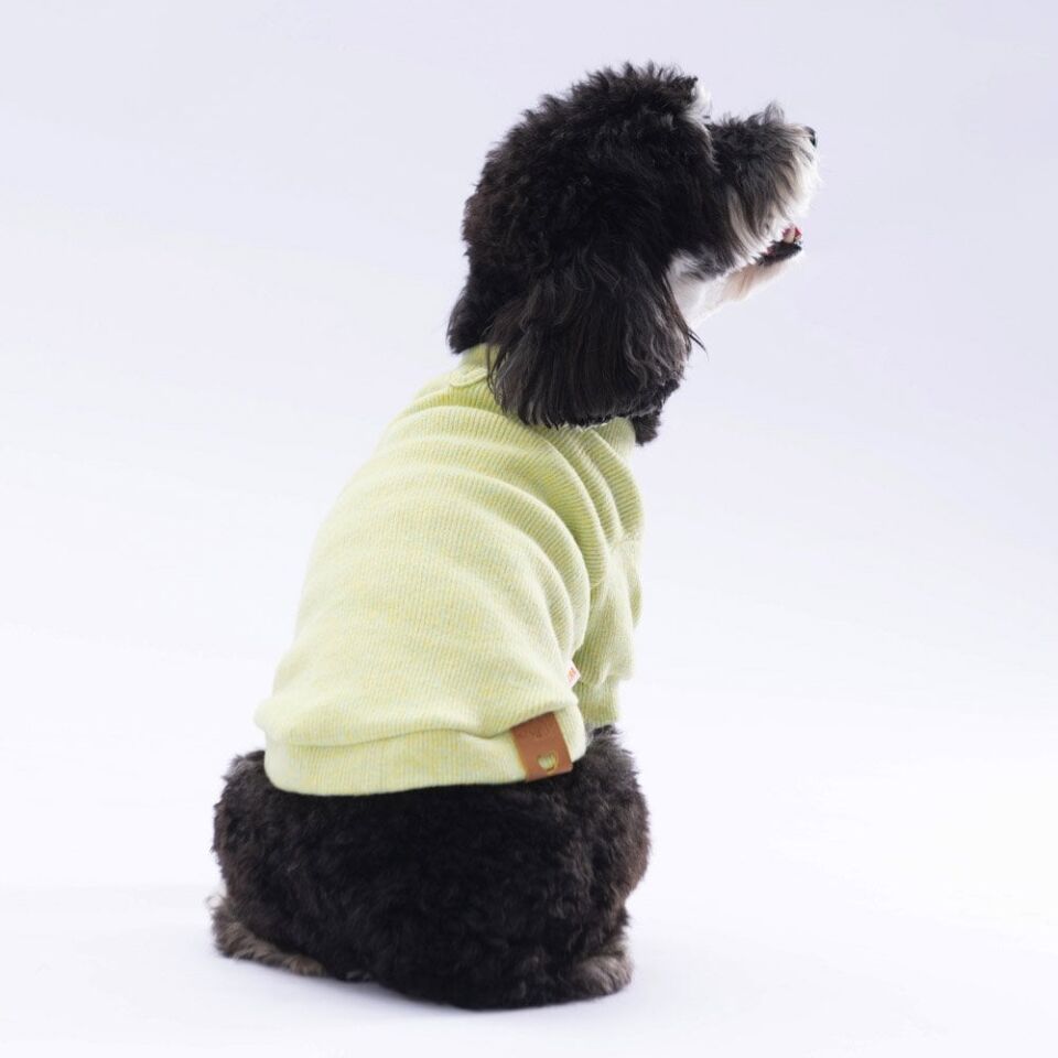 Pawstar Yellow Merino Sweat Large 30X33X46 cm