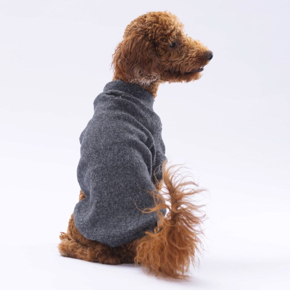 Pawstar Black Merino Sweat Large 30X33X46 cm