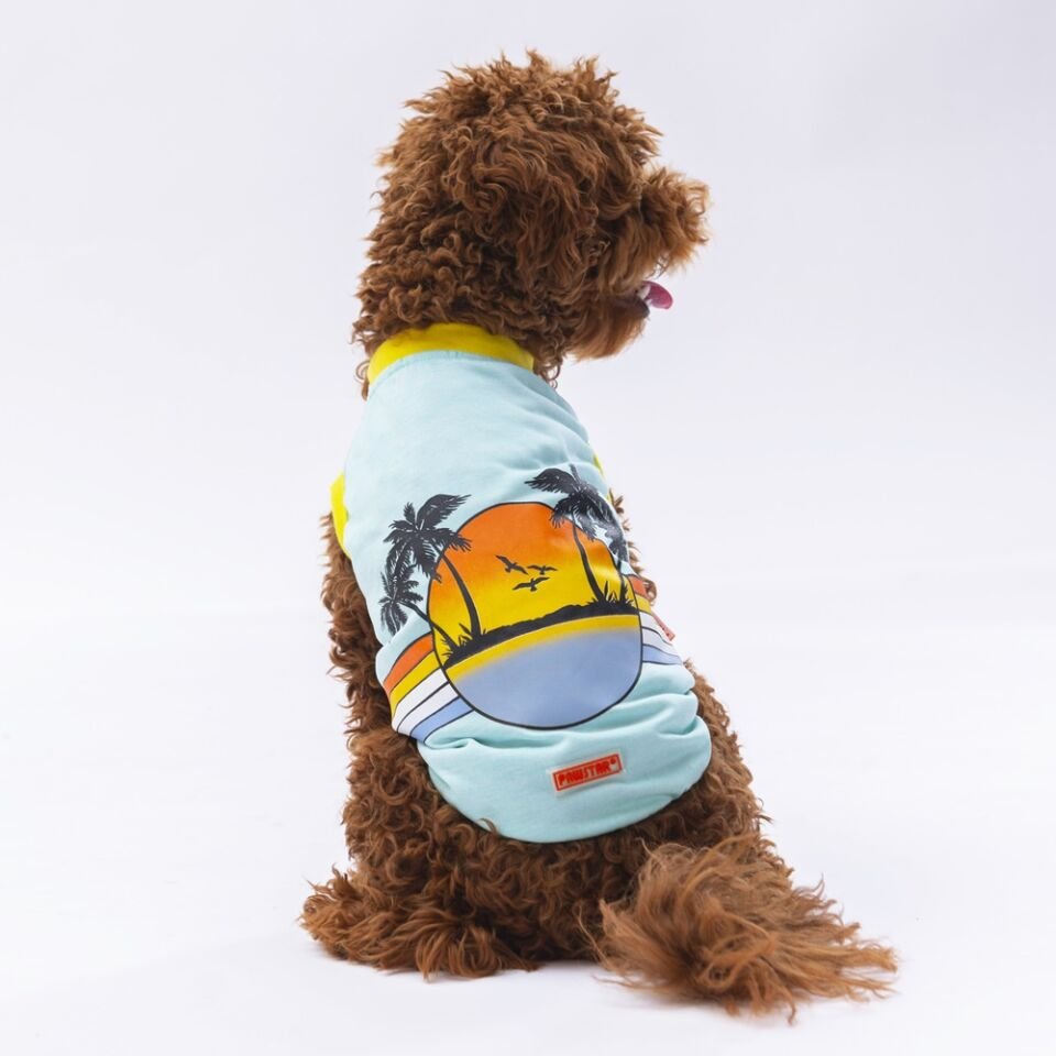 Pawstar Mint Sunrise Tişört XXLarge 38X43X58 cm