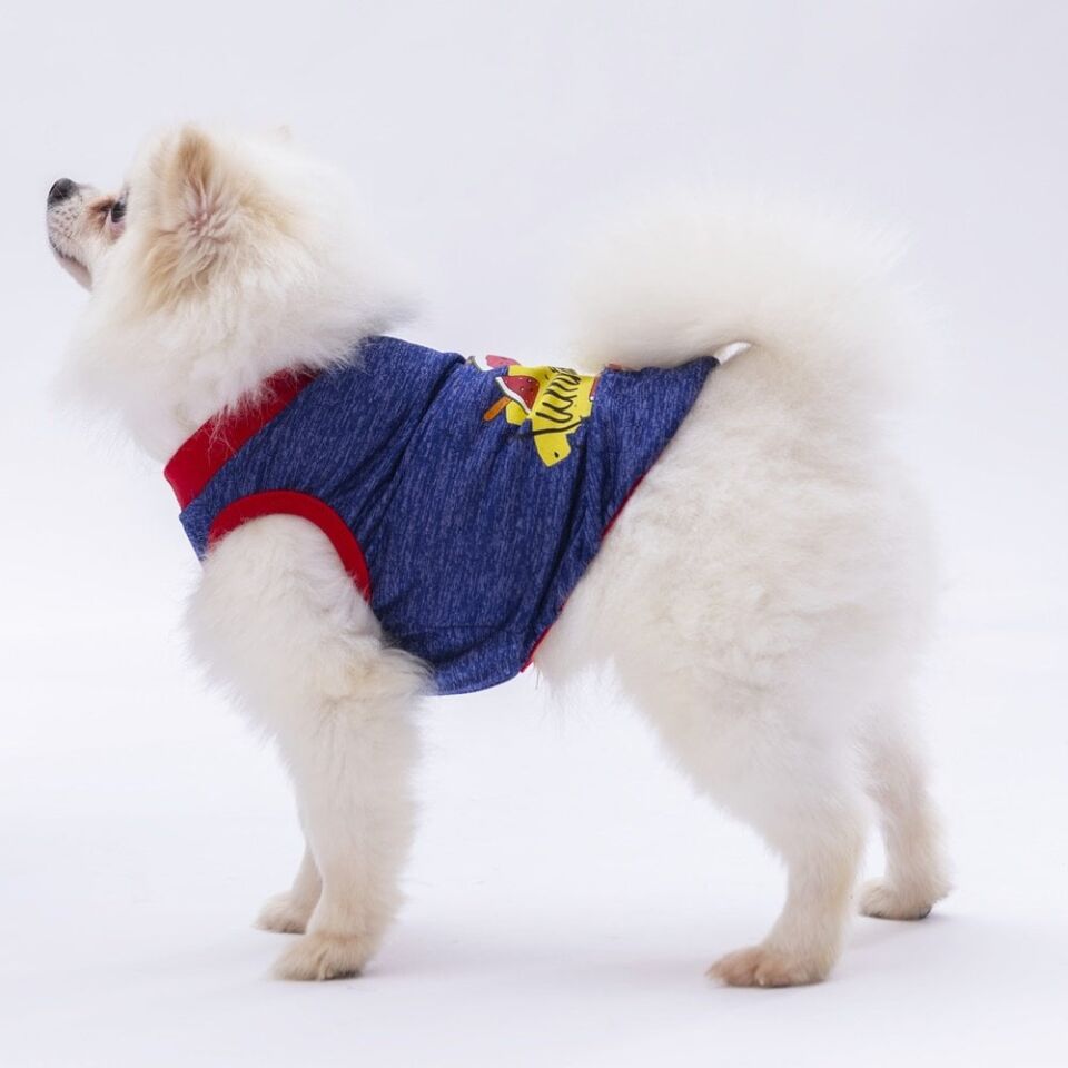 Pawstar Navy Blue Summer Time Tişört XXLarge 38X43X58 cm