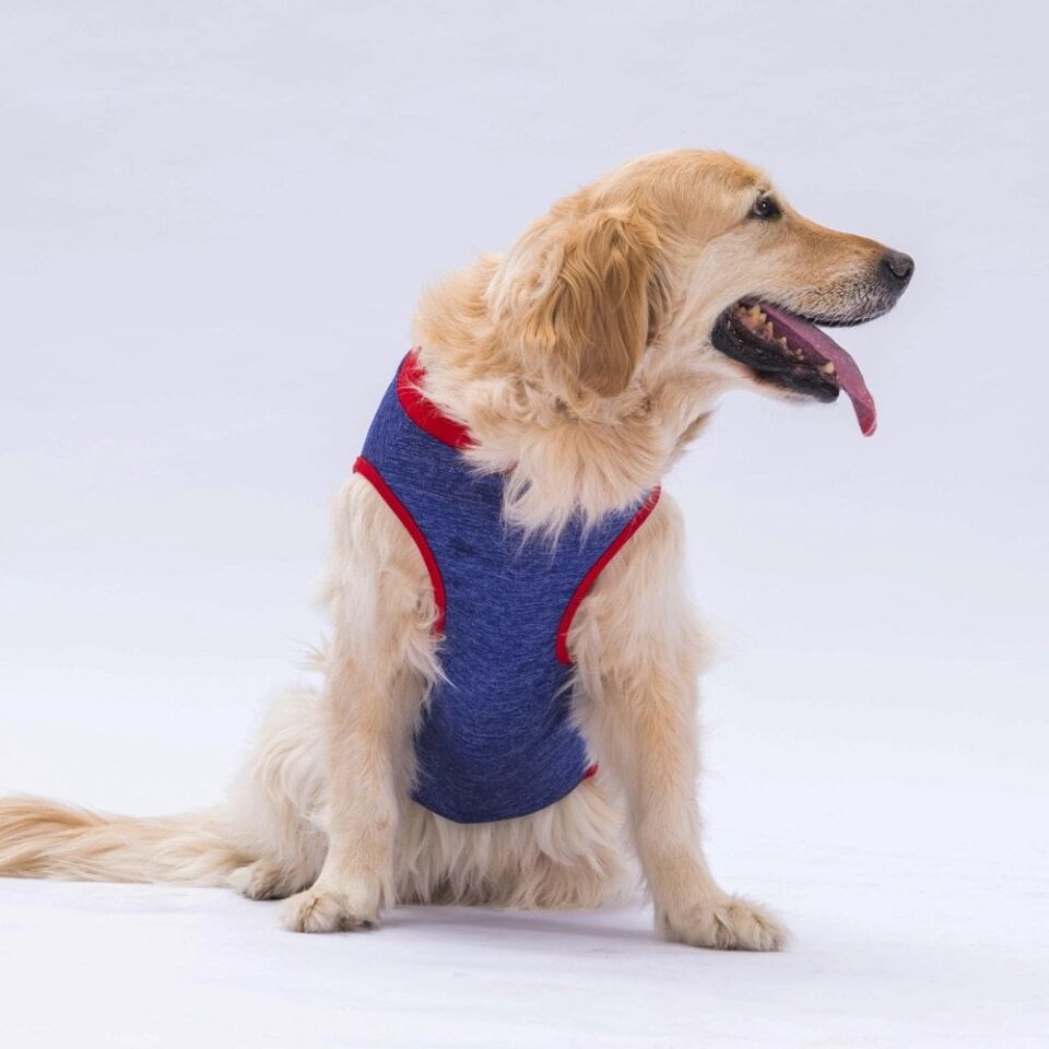 Pawstar Navy Blue Summer Time Büyük T-shirt 3XLarge  43X49X66 CM