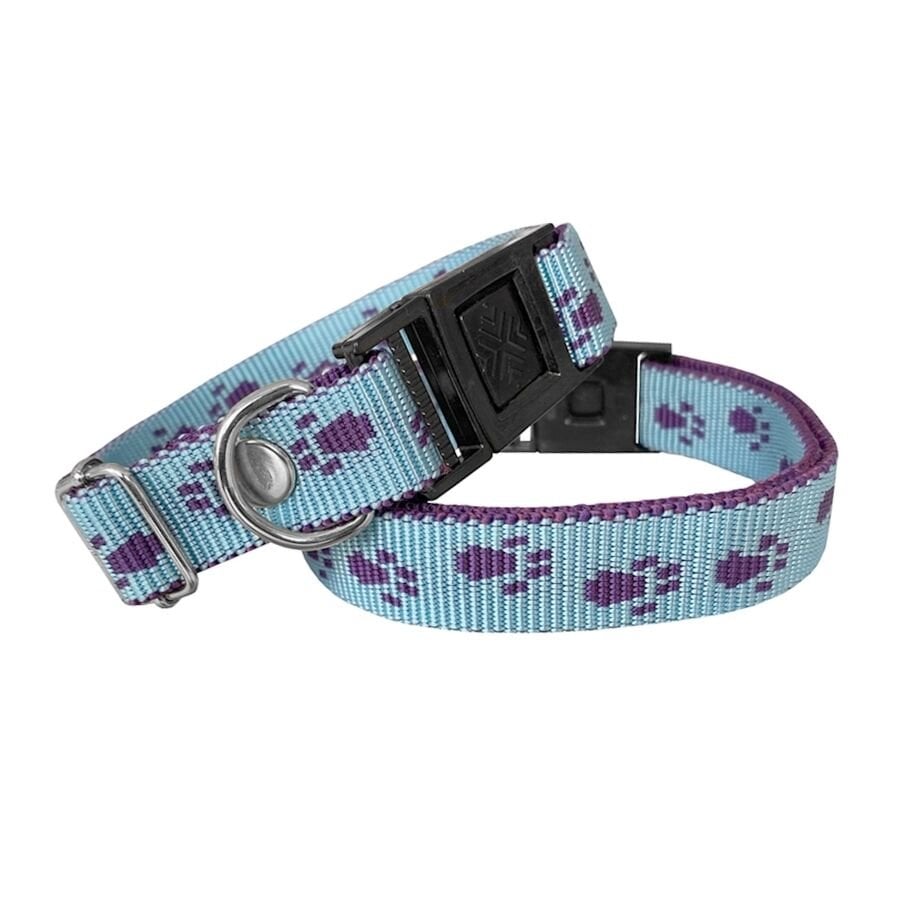 Markapet Köpek Tasması Patili Dokuma 2 cm - Min: 30 cm - Max: 50 cm Açık Mavi