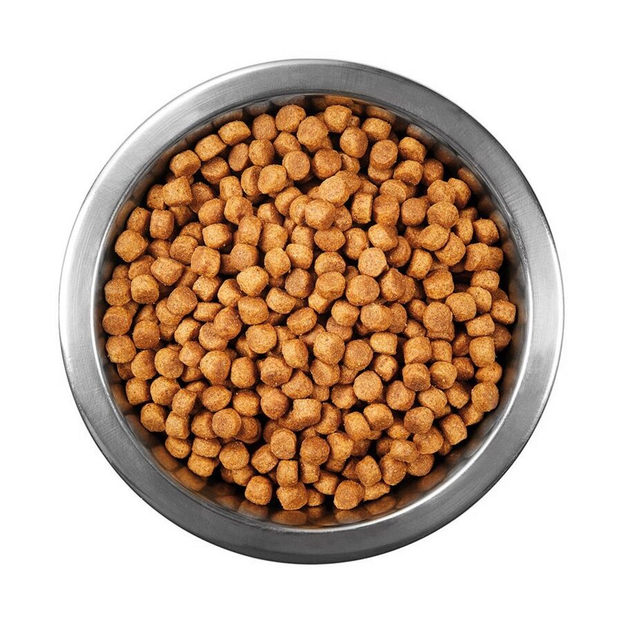 Econature Tavuklu Yetişkin Kedi Maması 1 kg Açık Mama