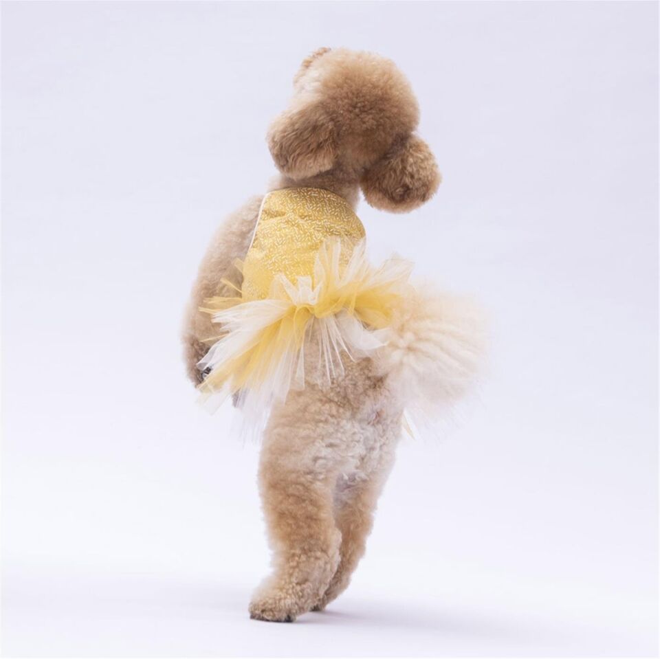 PawStar Yellow Polka-Dot XL 34 x 38 x 55 cm