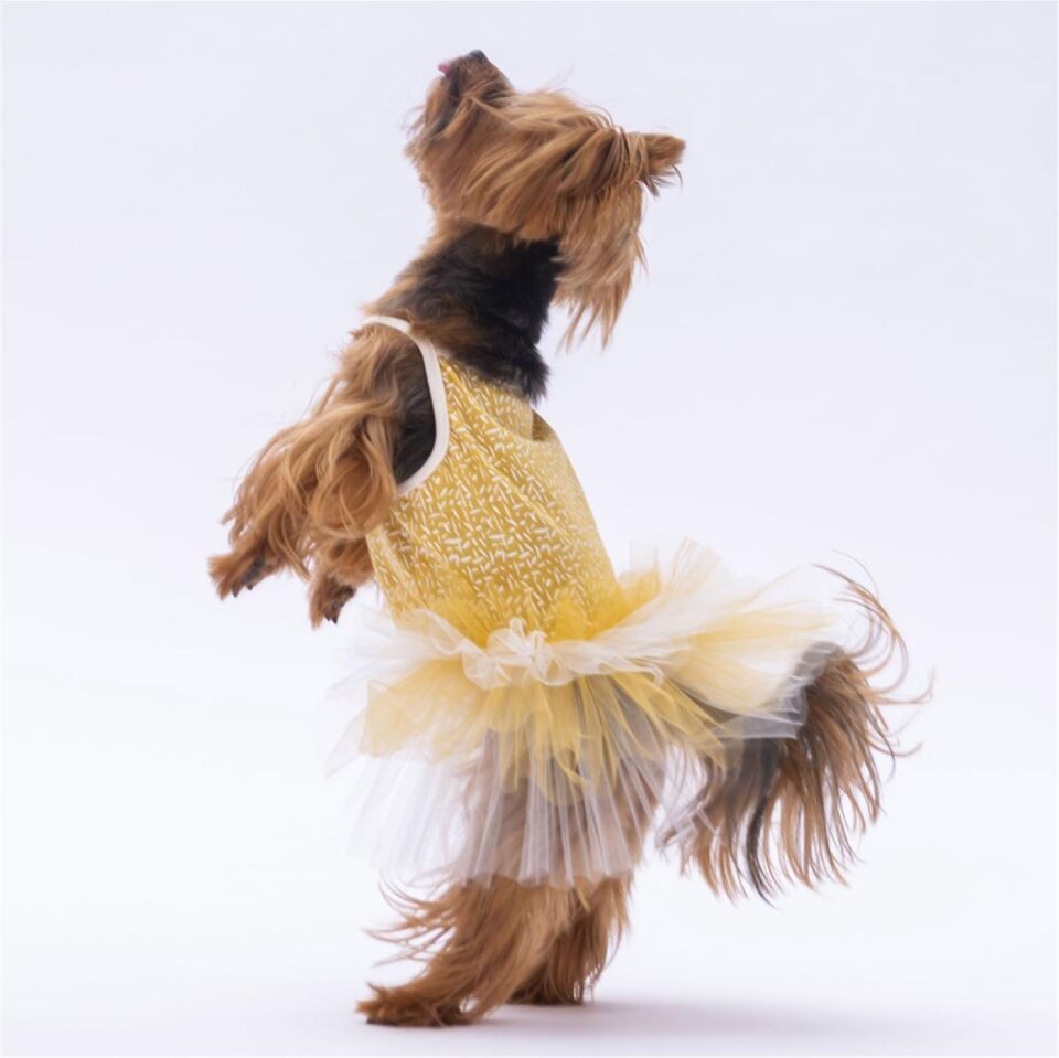 PawStar Yellow Polka-Dot L 30 x 33 x 46 cm