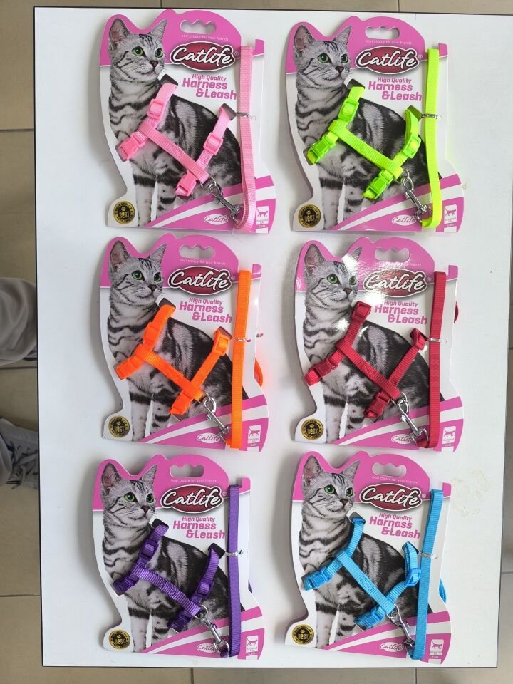 Catlife Kedi Göğüs Bel Tasması + Gezdirme İpi