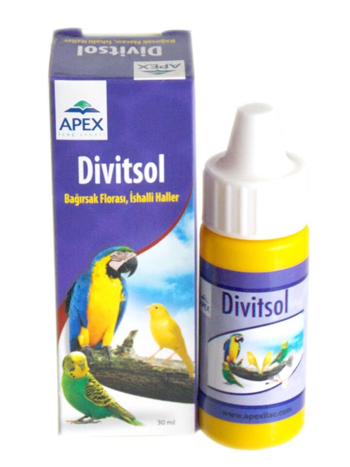 Papağan - Apex Divitsol Bağırsak Florası (İshal İçin) (1077)