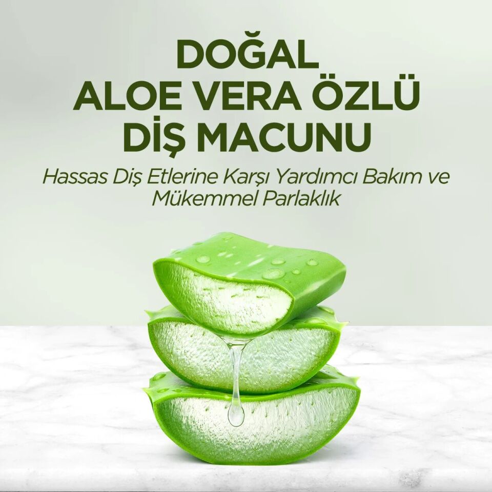Eyüp Sabri Tuncer Doğal Diş Macunu 90 Gr Aloe Vera Aloe Vera