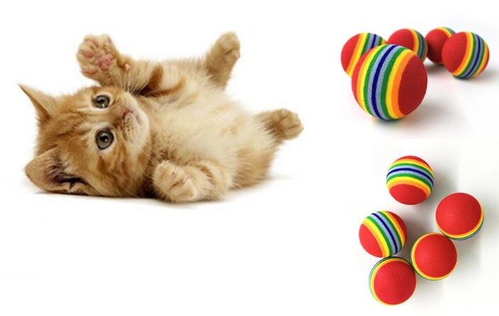 2 ADET GÖKKUŞAĞI RENKLI KEDI KÖPEK OYUN TOPU