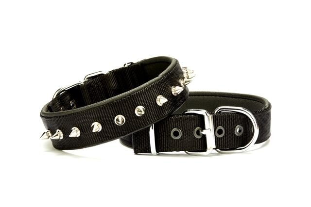 Doggie Çivi Desenli Köpek Tasması 3*55 cm Siyah