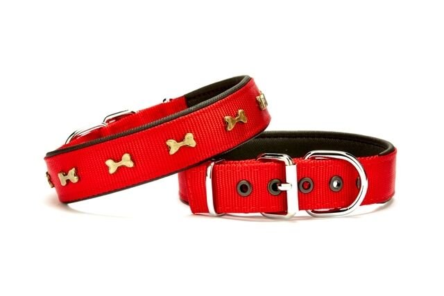 Doggie Softlu Metal Kemik Desenli Köpek Tasma 3 cm x 65 cm Kırmızı