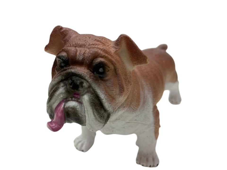 Soft Köpekler - Amerikan Bulldog Cinsi Köpek - E013